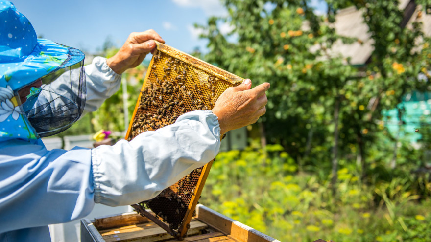Obavijest za pčelare sa područja općine Neum
